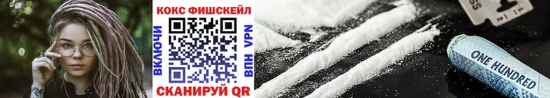 COCAIN Fish Scale  цены   Бологое 