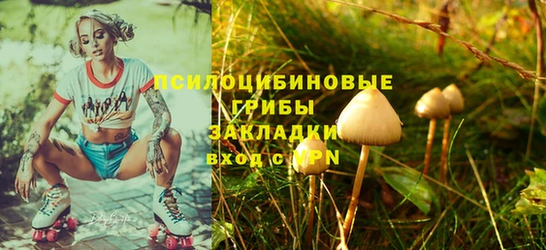 a pvp Алексин