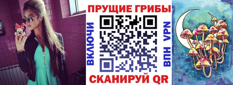 магазин продажи   blacksprut ссылки  Галлюциногенные грибы ЛСД  Бологое 